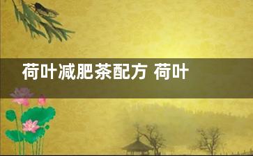荷叶减肥茶配方 荷叶减肥茶配方
